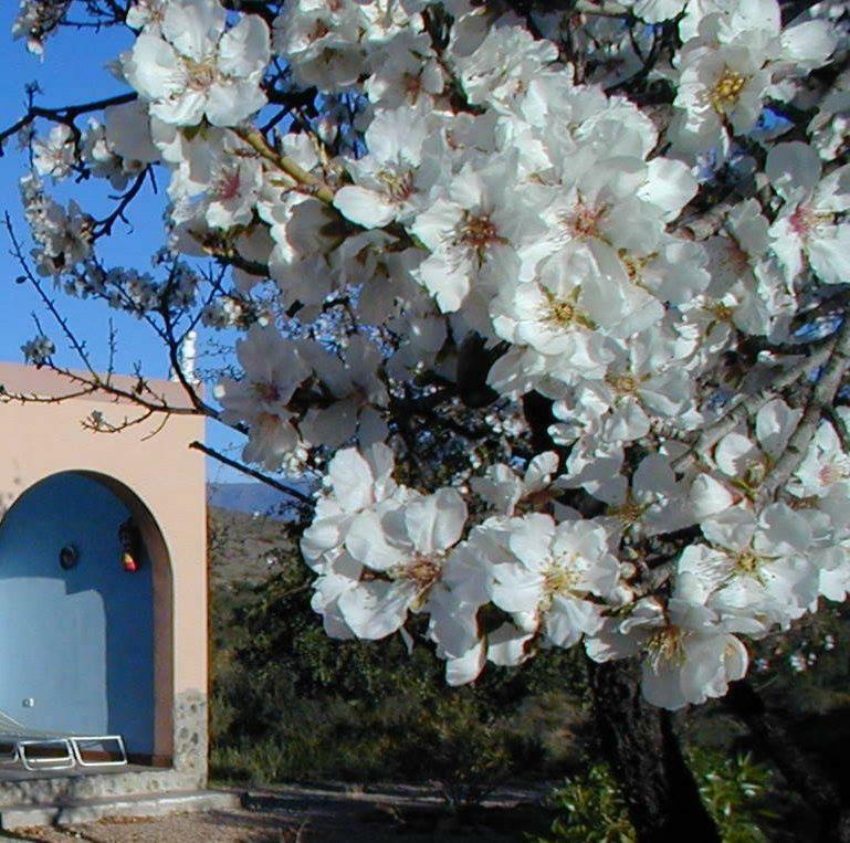 Villa Casa De Desierto à Tabernas Extérieur photo